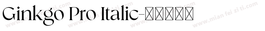 Ginkgo Pro Italic字体转换